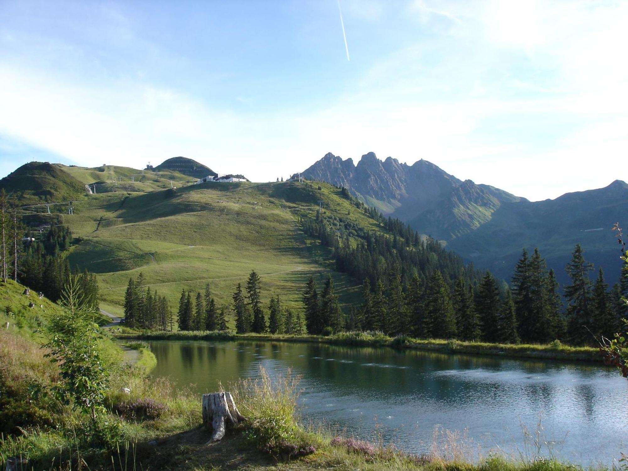 Apart Bergwaerts Fugen Bagian luar foto